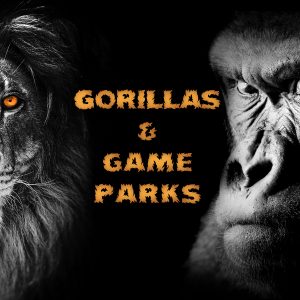 Cover2Africa Wild Heart