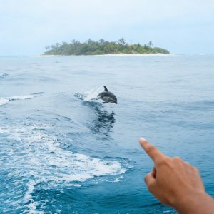 aa9c5a9b-03c2-41b1-bb33-d2f41a90a844-2026-03-25