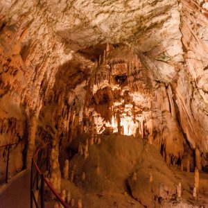 amazing-postojna-cave-slovenia-2026-01-11-10-01-49-utc