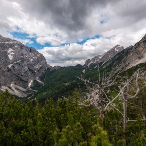 beautiful-day-for-hiking-in-the-mountains-of-julia-2026-01-09-13-54-57-utc