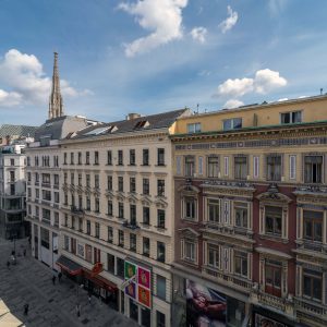 cityscape-of-vienna-with-old-buildings-and-the-cat-2026-01-09-06-39-34-utc