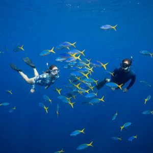 e770c470-88ac-489d-ac00-3e1f860b9487-2026-03-25