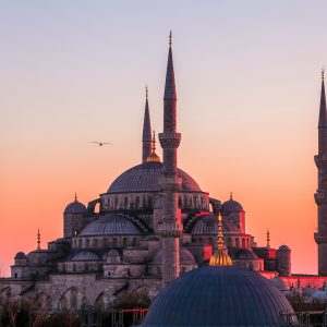 flying-seagull-over-sultan-ahmed-mosque-istanbul-2026-01-08-07-27-30-utc