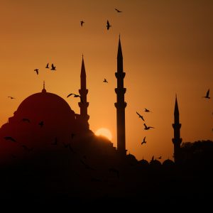 istanbul-mosque-at-sunset-and-the-seagulls-2026-01-08-22-12-43-utc (1)