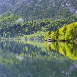 Lake Bohinj reflections, Triglav National Park, Julian Alps, Slovenia, Europe