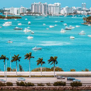 palm-tree-2026-03-16-05-13-06-utc