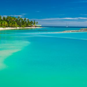 Palm trees on a white sandy beach at Plantation Island, Fiji, So