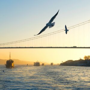 Skyline of Istanbul, Turkey