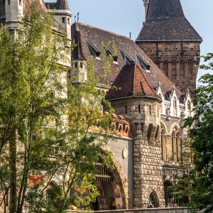 vajdahunyad-castle-in-budapest-hungary-2026-01-11-09-43-57-utc