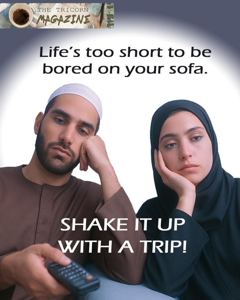 Life’s too short to be bored of Your Sofa. Shake It Up with a Trip!