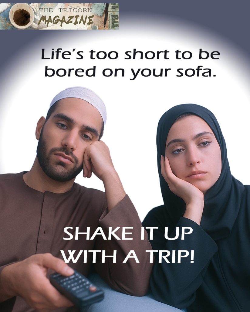 Life’s too short to be bored of Your Sofa. Shake It Up with a Trip!
